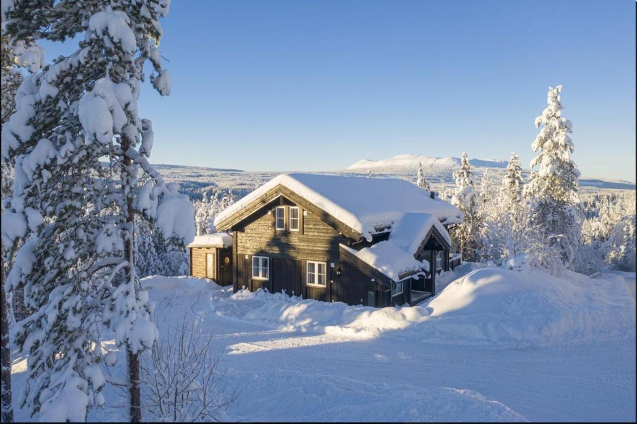 Cabin With Sauna In Трисиль Экстерьер фото